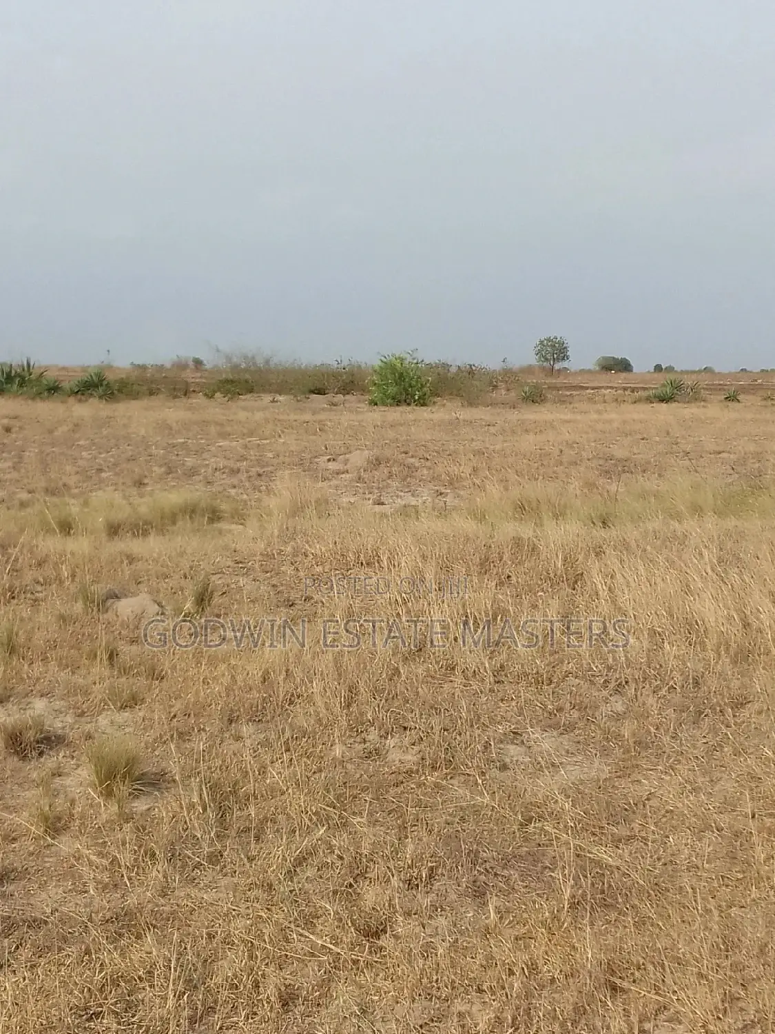 Clear Surface Plots Available at Tsopoli in Tema Metropolitan