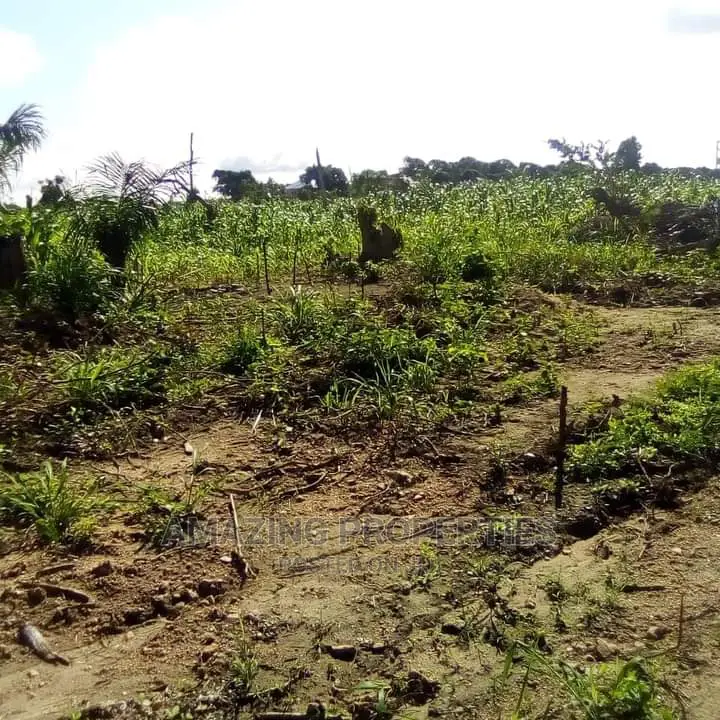 117 Acres Land 
For Sale Boateyman Zoom Lion Head Office in Adjiriganor