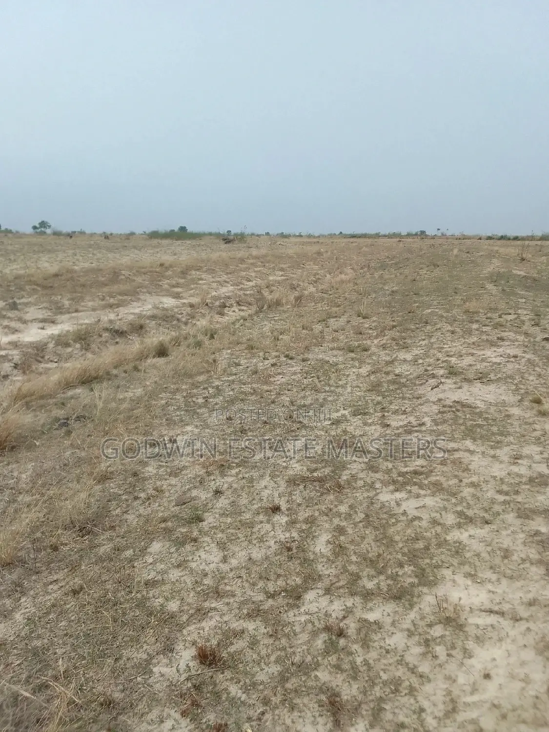 Genuine Flat Serviced Plots for Sale in Tema Metropolitan