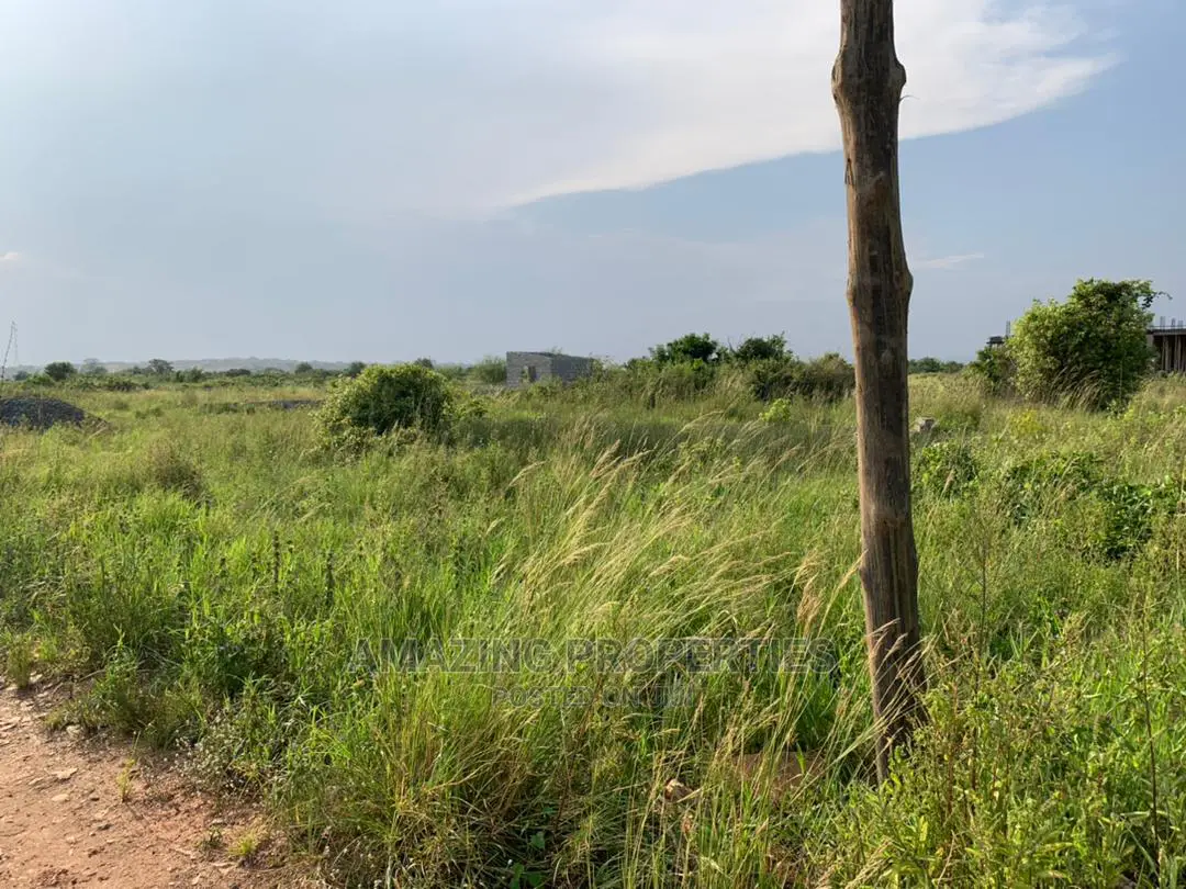 40 Acres of Land for Sale at School Junction in Madina