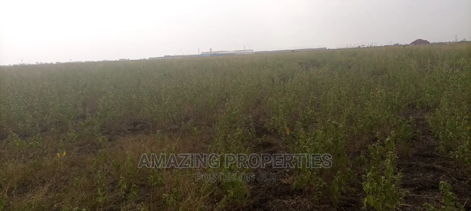 50acres of Land for Sale Adjiringanor Going $220,000per Plot in Adjiriganor