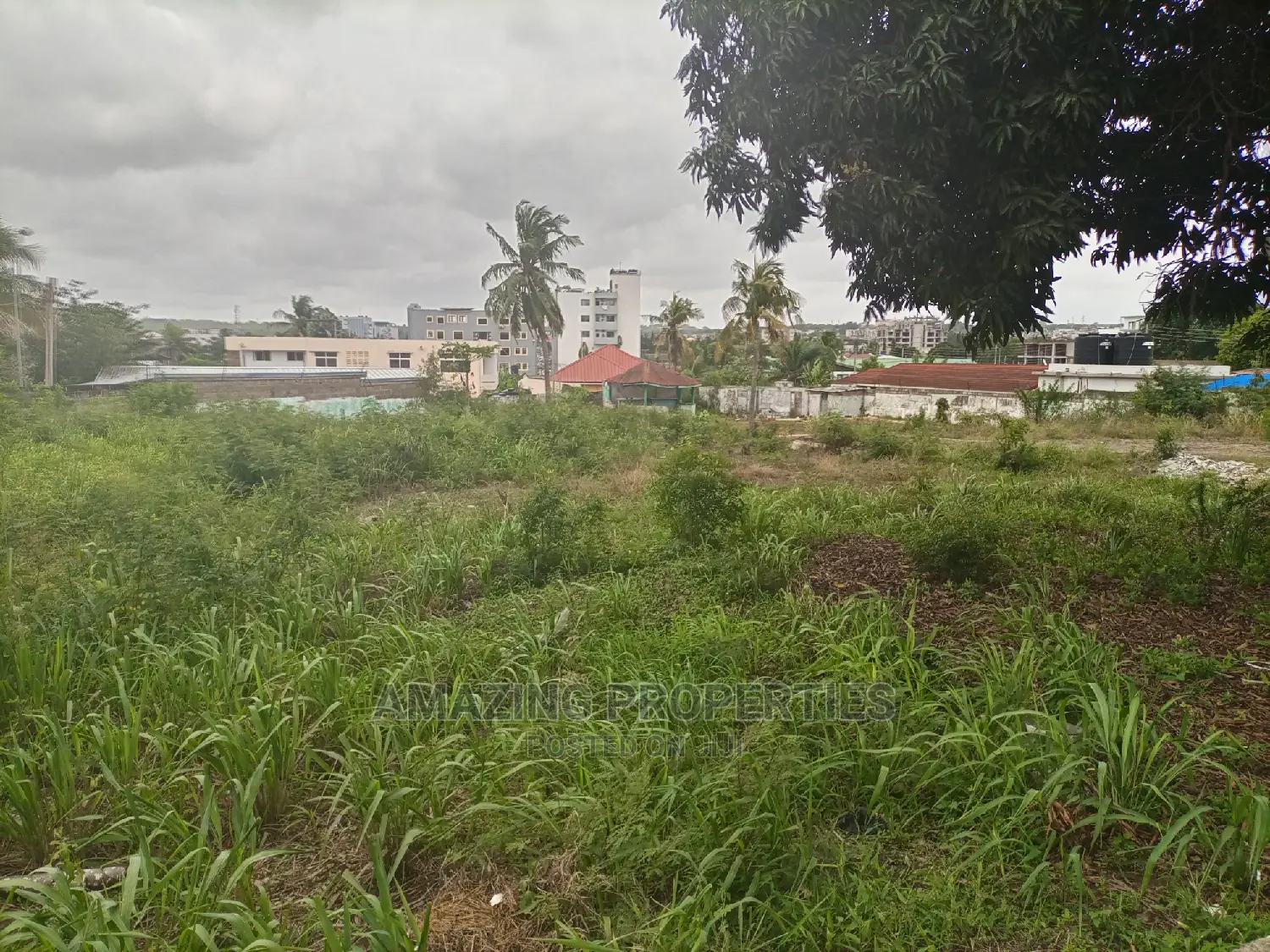 Jv Lands Available* Cantonments 0.55acre Land. in Cantonments