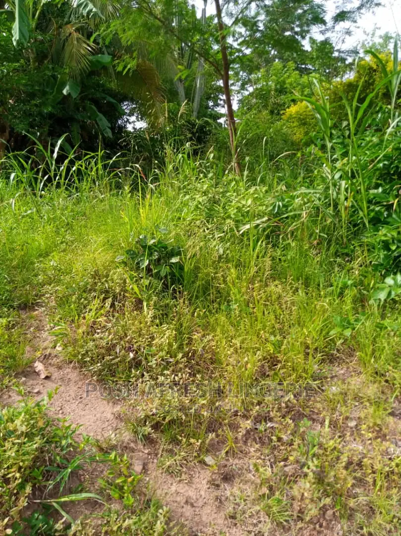 Residential and Farmland 4 Sale in Akuapim South