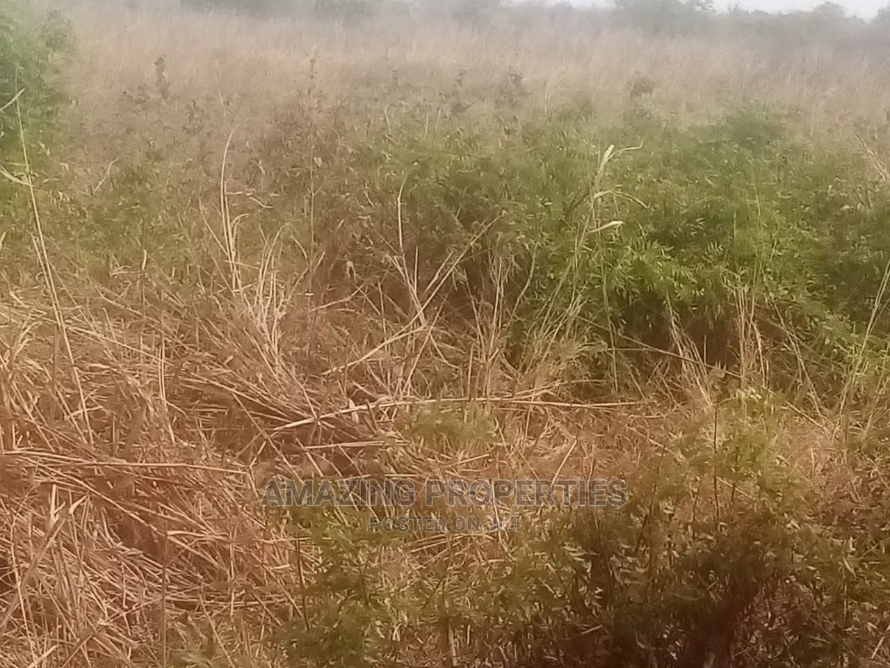 1.3acres of Bare Land, for Sale at Nungua, Coco Beach. in Nungua