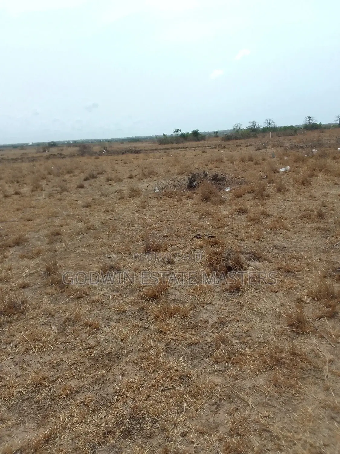 Great Genuine Properties for Salein Three Locations  in Tema Metropolitan