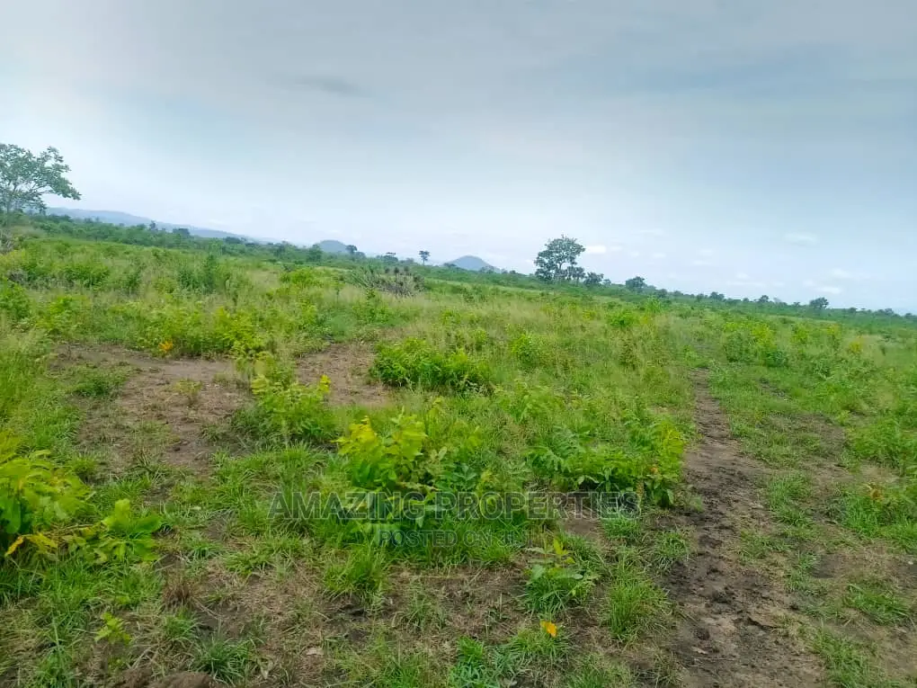 2200acres of Farm Land for Sale at Nsawam Teacher Mante in Accra Metropolitan