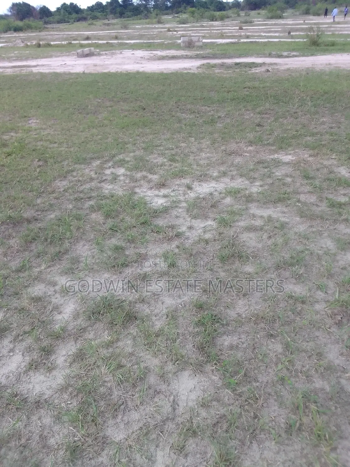 Properties Available for Sale in Tema Metropolitan