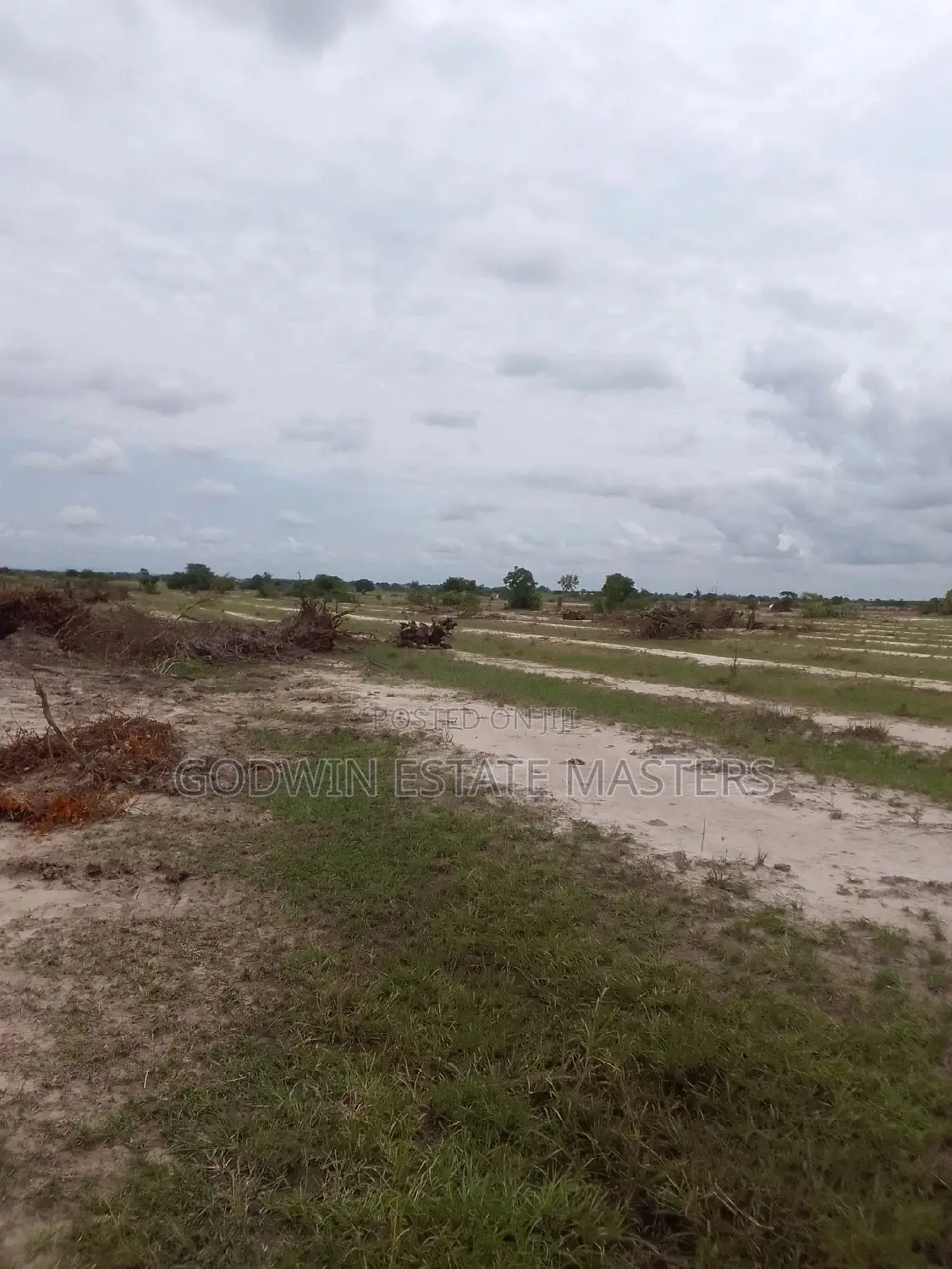 100/100sqft Plots Available at Dwellys Court  in Tema Metropolitan
