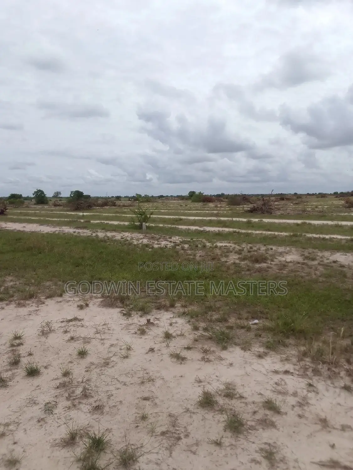 100/100sqft Plots Available at Dwellys Court  in Tema Metropolitan