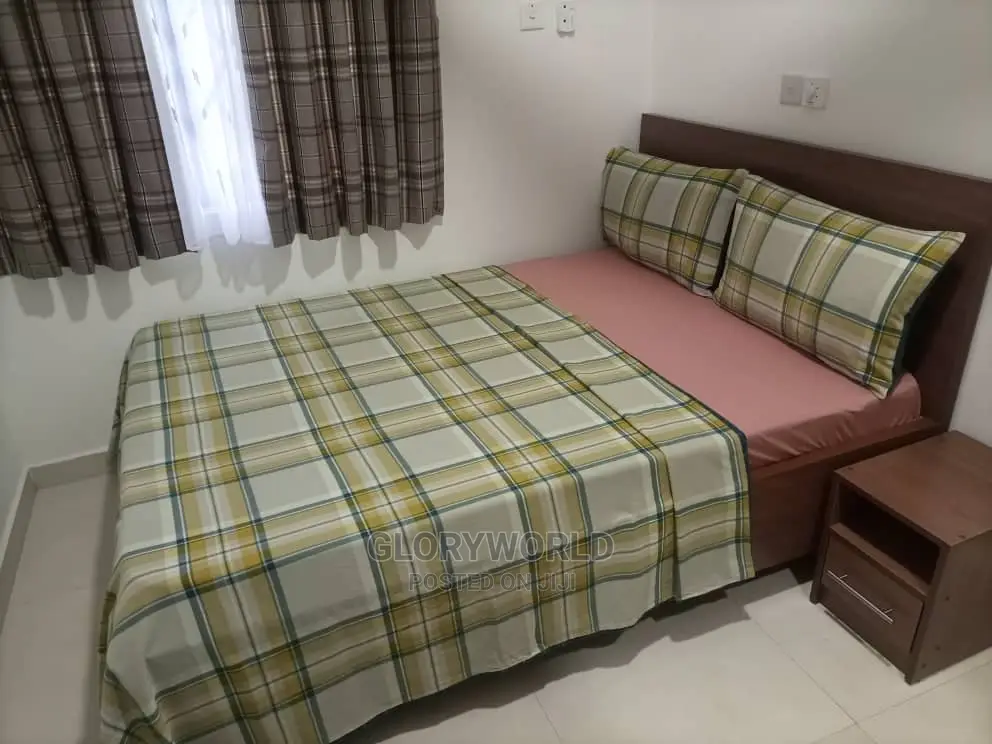 Furnished 2 Bedroom Apartment at Spintex - Community 18 in Spintex