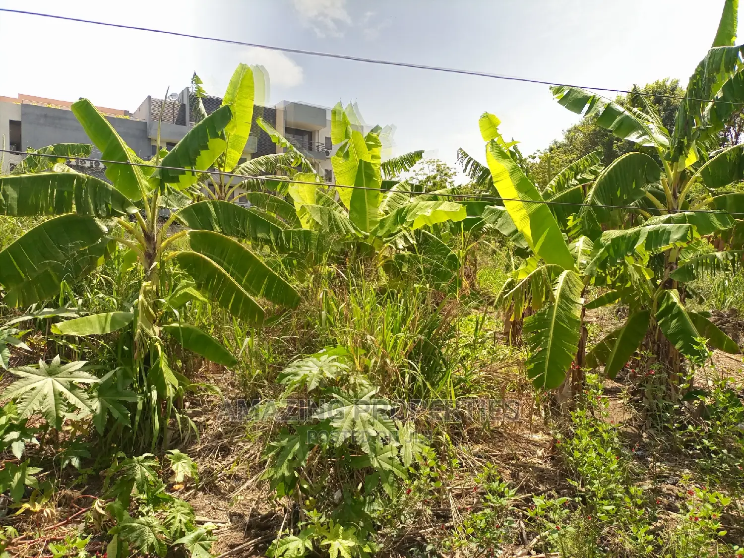 14acres of Land at a Very Good Location in Amrahia in Tema Metropolitan