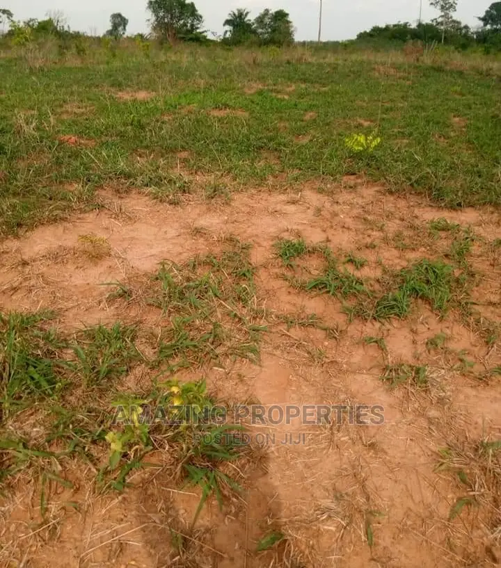1 and Half Plot for Sale at East Airport in Airport Residential Area