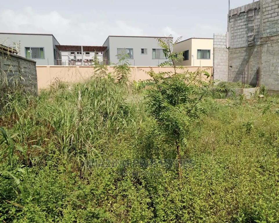 100x80 Plot of Land at Tema Com 11 in Tema Metropolitan