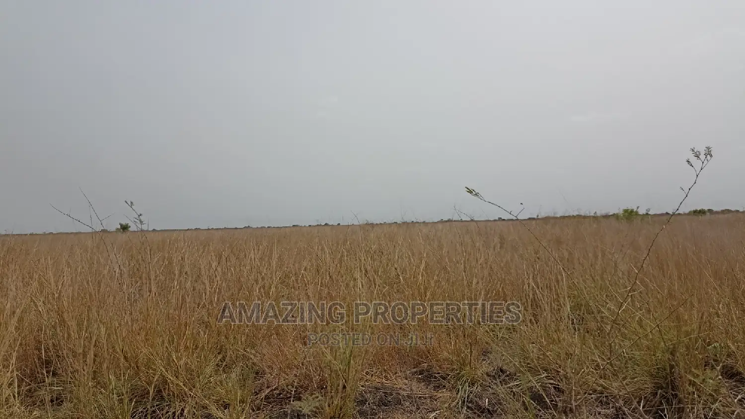 20 Acre of Government for Sale Achimota Forest Gimpa School in East Legon