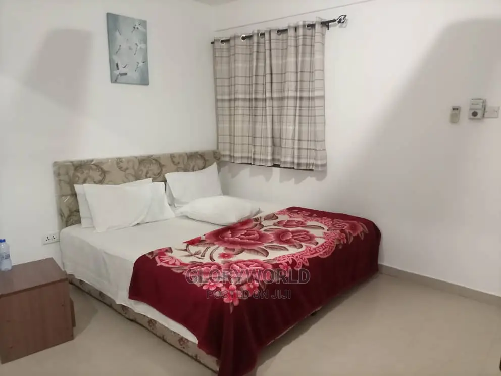 Furnished 1bdrm Apartment in Spintex for rent in Spintex