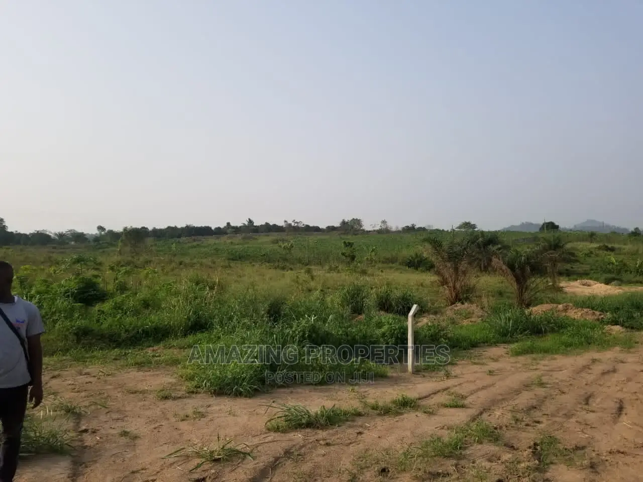 2000 Acres of Land at Asebi Dodowa in Dodowa