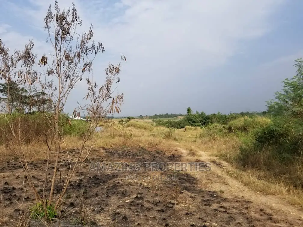 286 Acres of Land at Dodowa in Dodowa