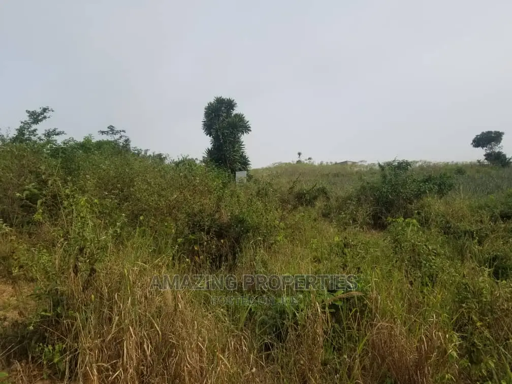 1000 Acres of Land at Kpone Bawaleshi in Tema Metropolitan