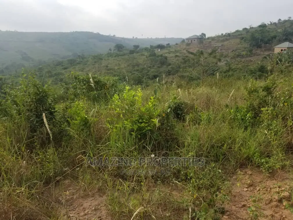 2000 Acres of Land at Ayikuma Dodowa in Dodowa