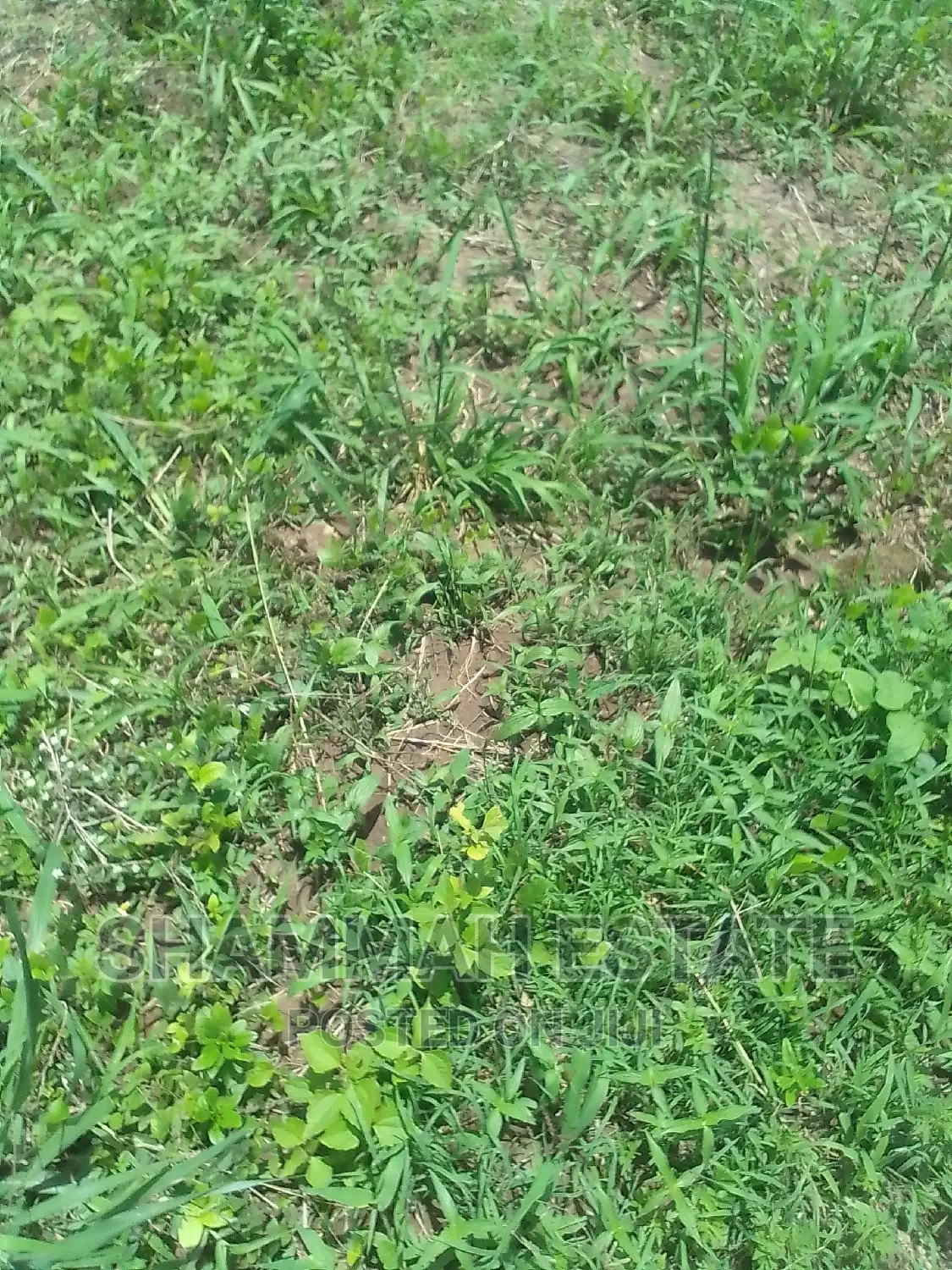 Uncompleted Building for Sale in Sunyani Municipal