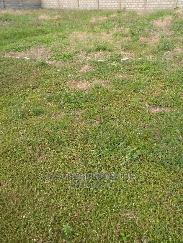 Acre of Land for Sale at Tesano in Tesano