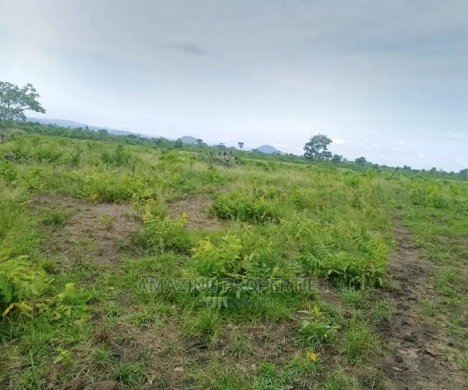 1 Acre of Land at Tema C9 in Tema Metropolitan