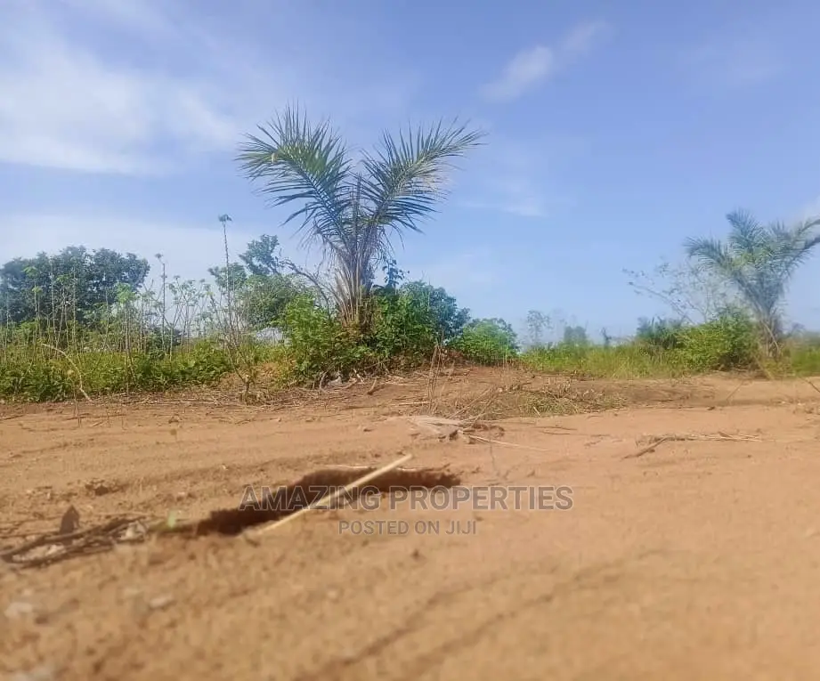 3 and Half Plot of Land for Sale at Mallam in Mallam