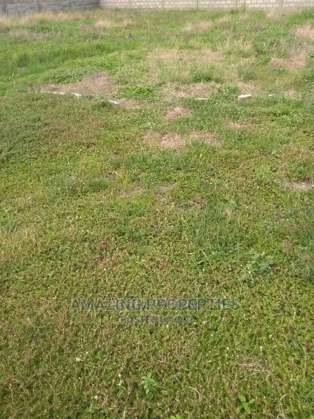 One Acre Land for Sale at Airport in Airport Residential Area
