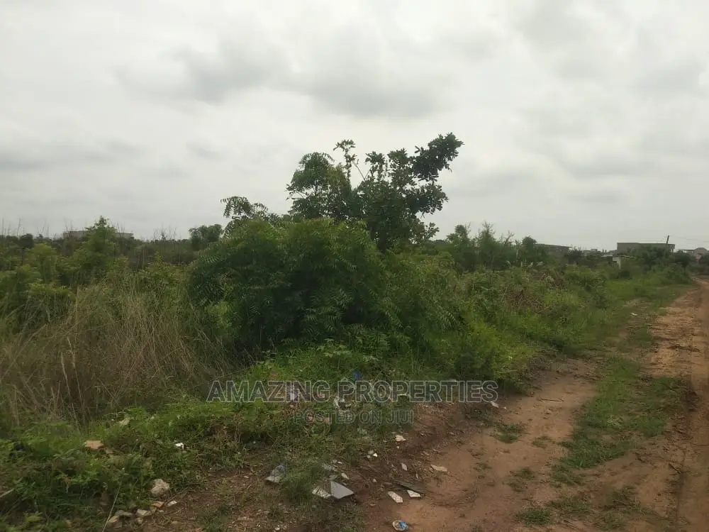 300acre of Land for Sale Amasaman Roadside Registered Land in Accra Metropolitan
