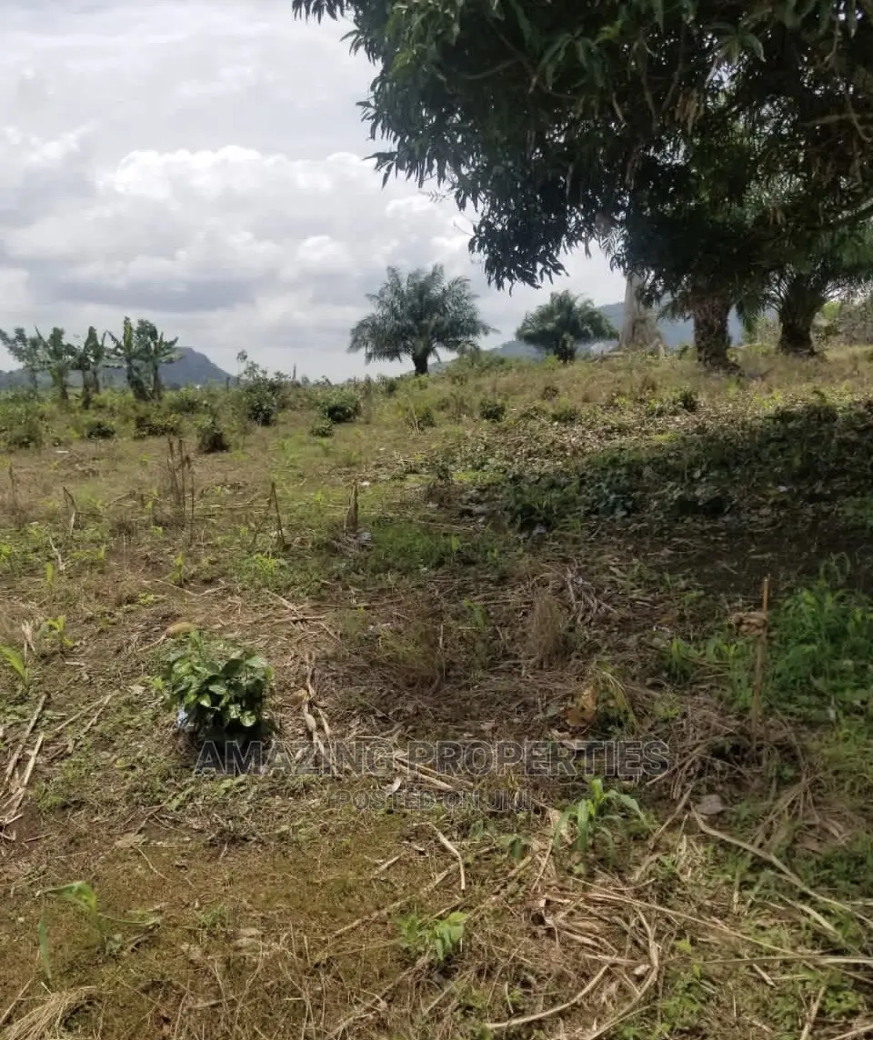 150 Acres of Land at East Legon Hills in East Legon