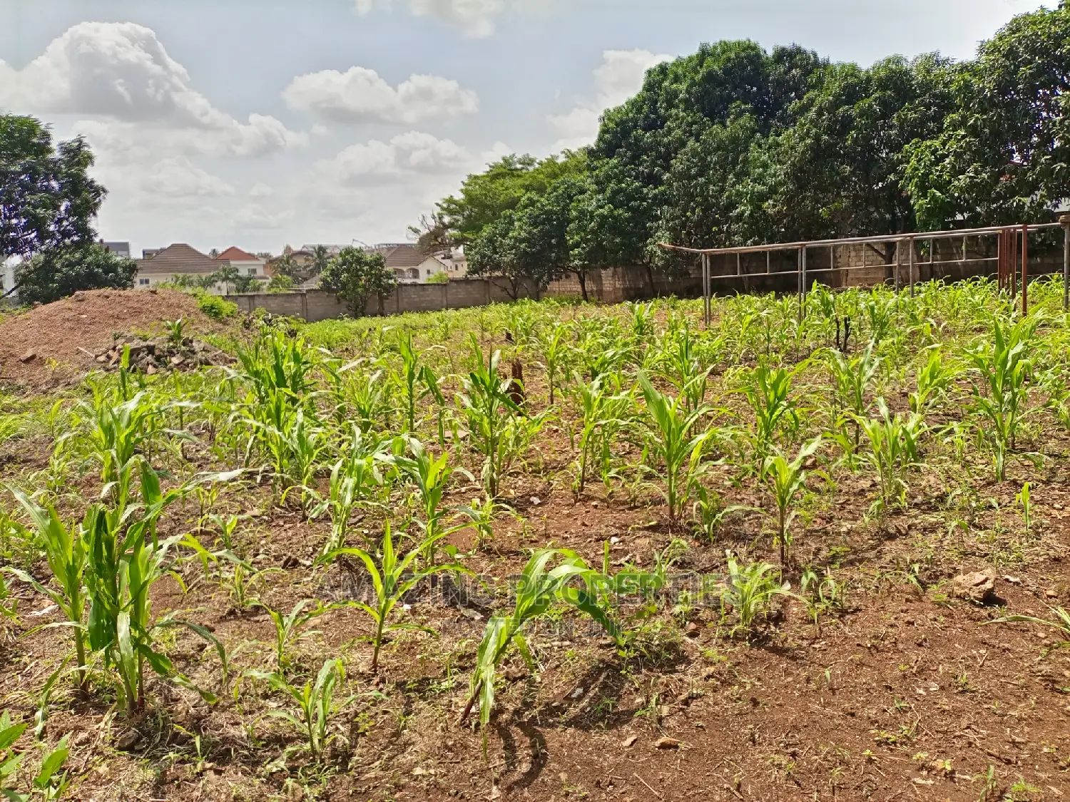 3plots of Walled and Gated Land for Sale Spintex, Regimanuel in Airport Residential Area