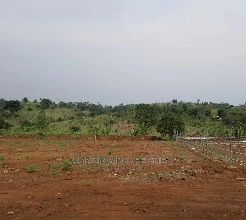 Acres of Land at Ayi Mensah in Adenta