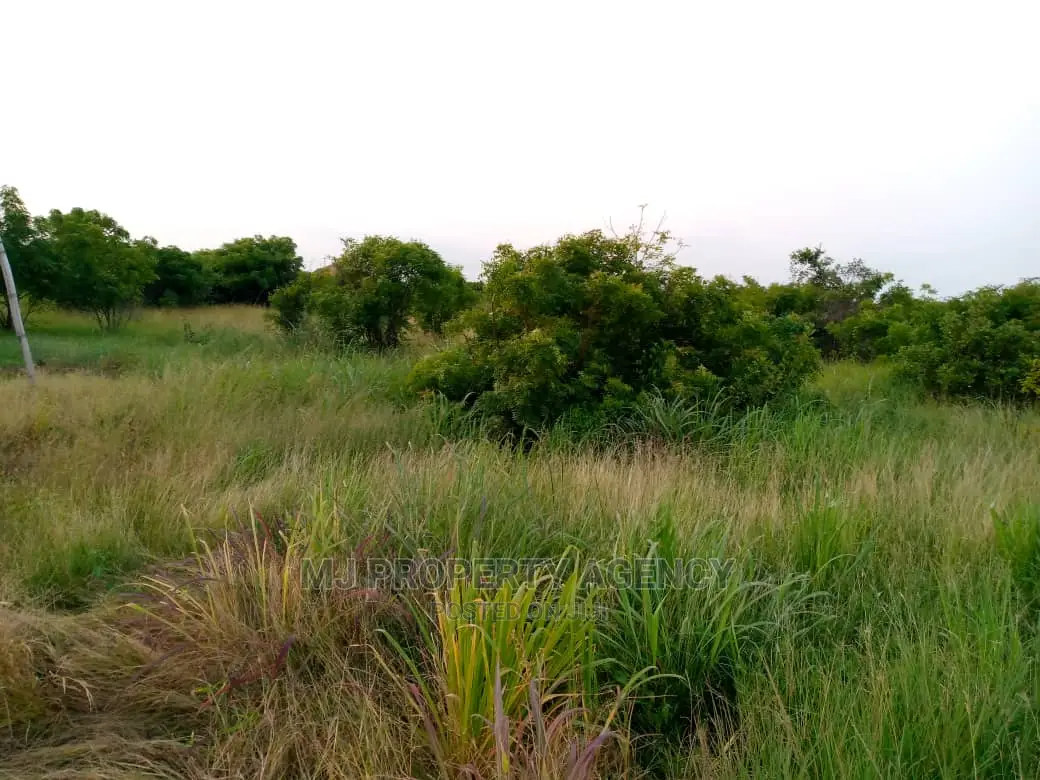 3 Acres Roadside Land at Ningo Prampram in Tema Metropolitan