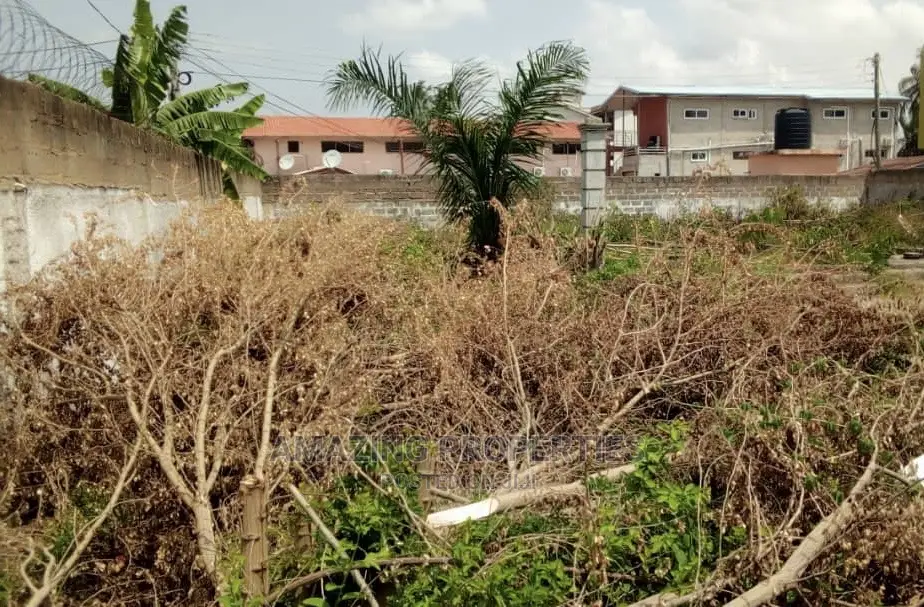 1 Plot of Land for Sale at Osu Regal in Osu