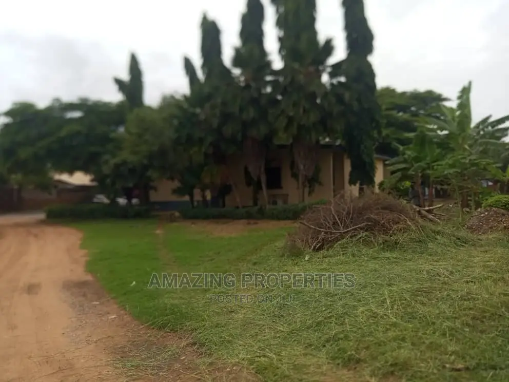 What Is Available Is Up for Dzorwulu
Size: 80ft by 120ft in Spintex