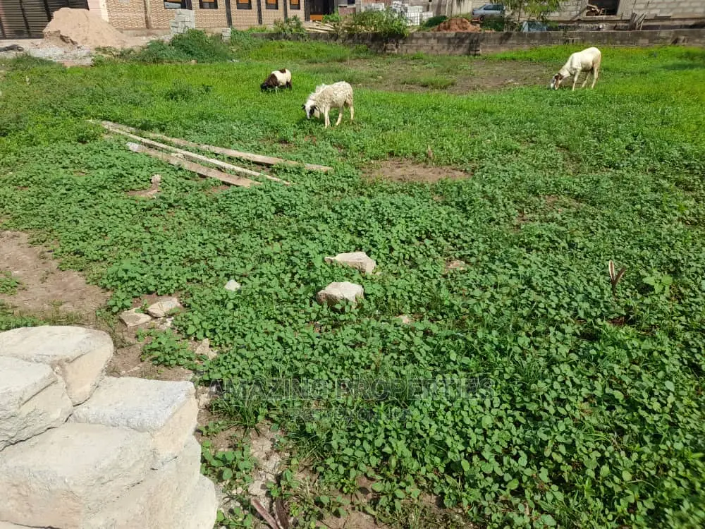 1 and Half Plot Plot for Sale at North Legon in North Legon