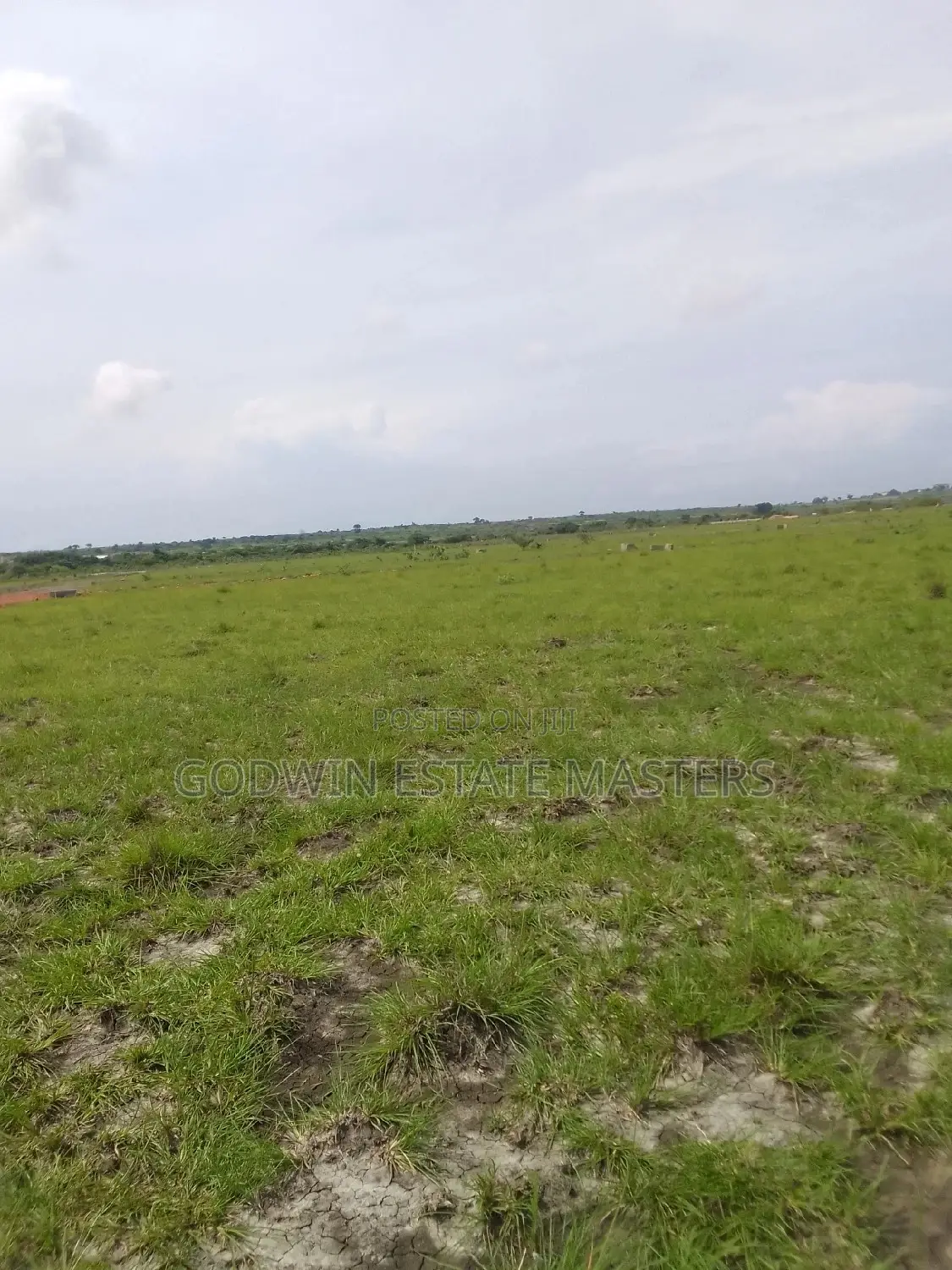 Secure Your Future in Tema Metropolitan