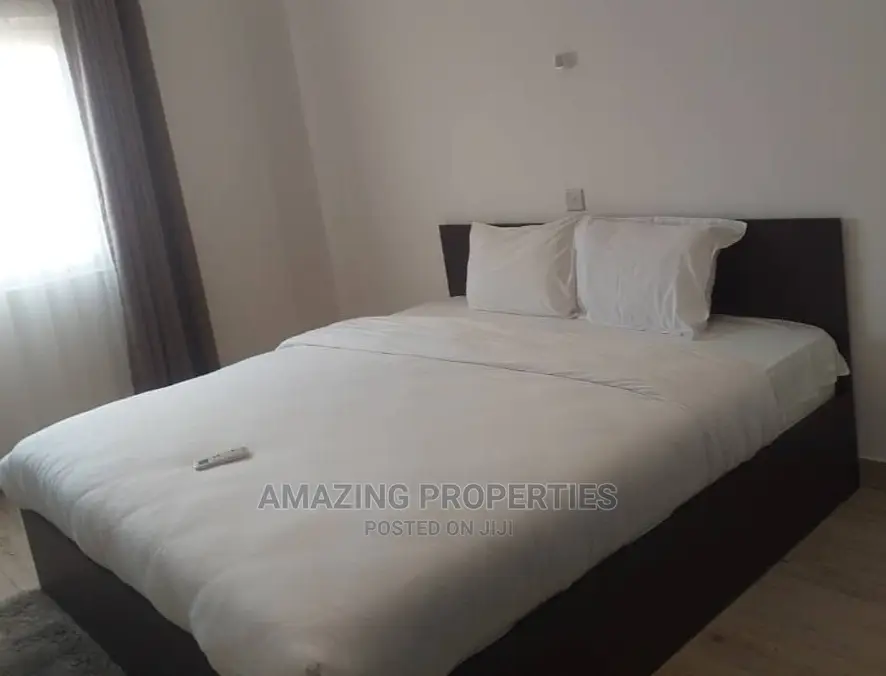 Furnished 3bdrm Apartment in Airport Residential Area for Rent in Airport Residential Area