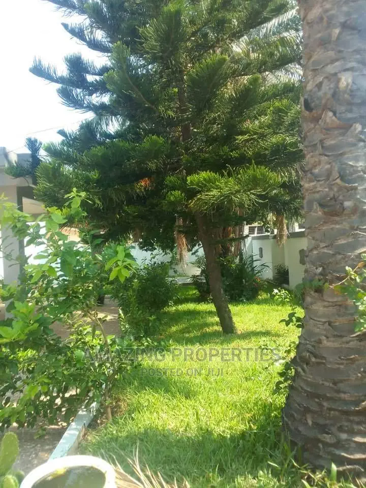 5plots of Roadside Land Available for Sale at Ridge, in Ridge