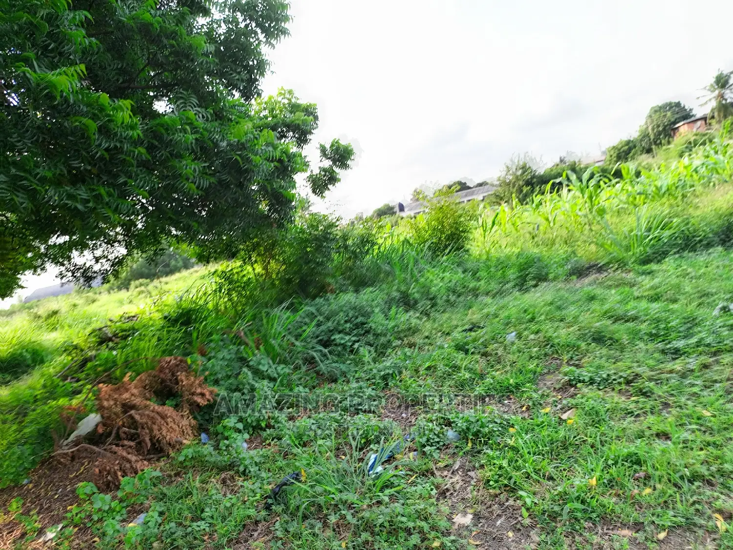 8.60acres of Land for Sale at Airport Residential Area in Airport Residential Area
