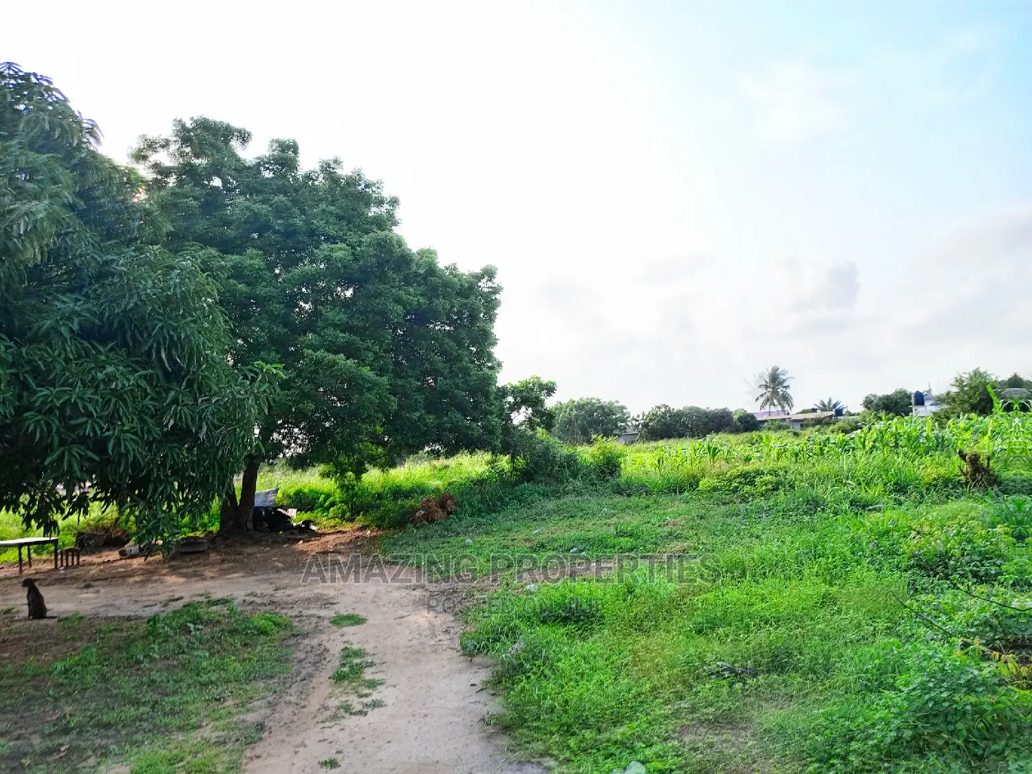 10-15acres of Land Available for Sale at Airport Energy City in Airport Residential Area