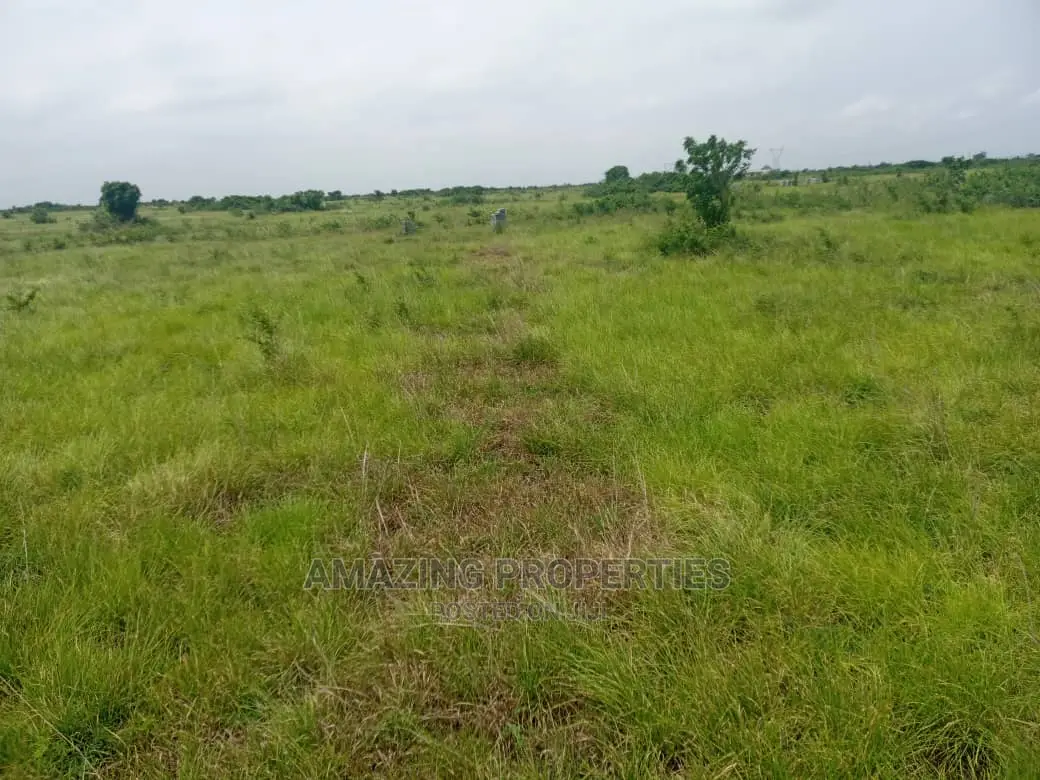 150acres of Land for Sale After Central University B5 in Airport Residential Area