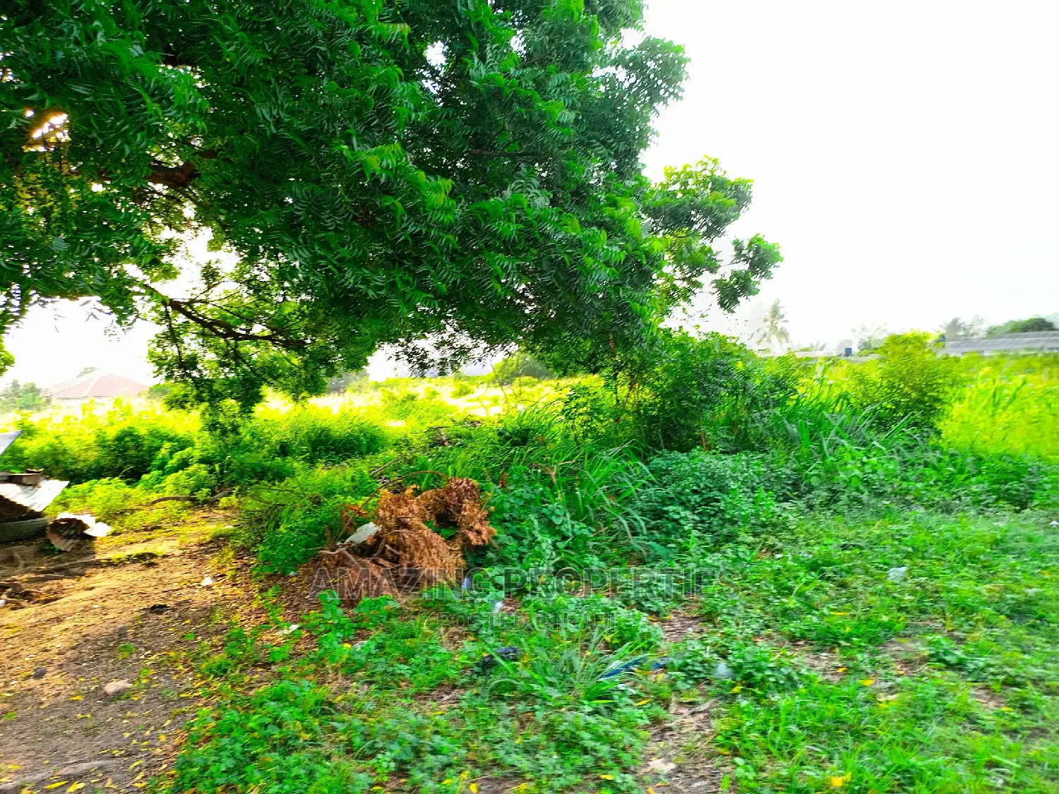 0.79acre Land Available for Sale at Cantonment in Cantonments