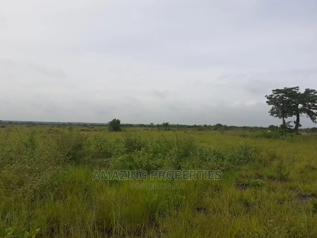 350 Acres of Land at Doryumu in Dodowa