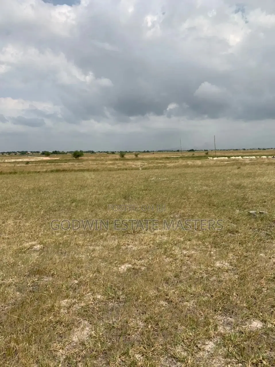 Genuine Plot Avial.Don't Time and Money on Land Litigation in Tema Metropolitan