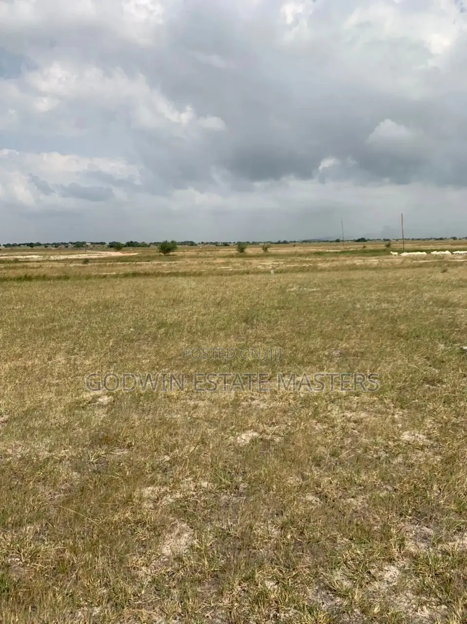 Genuine Plot Avial.Don't Time and Money on Land Litigation in Tema Metropolitan