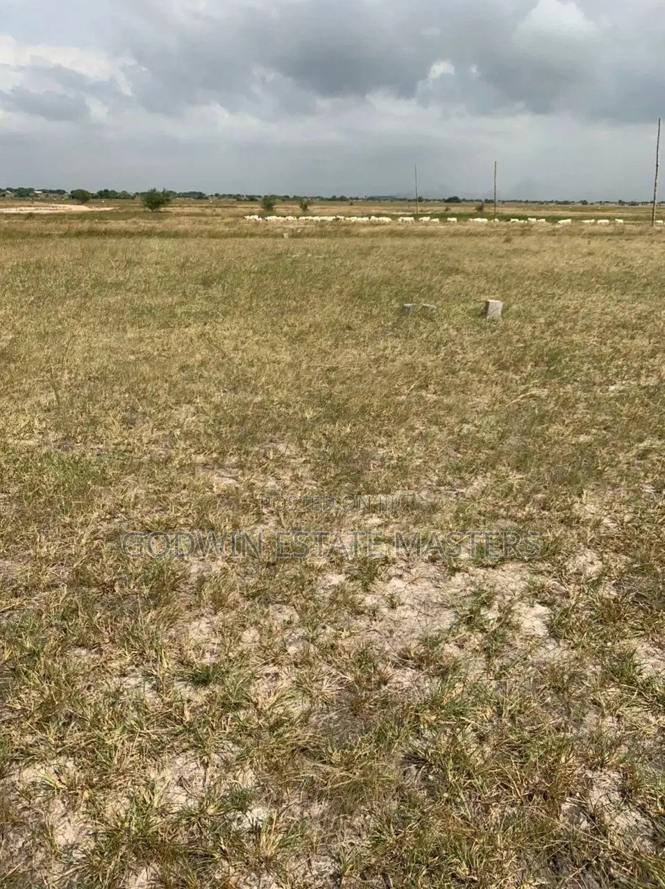 Buy Genuine State Plot From Estate Masters Ltd. in Tema Metropolitan
