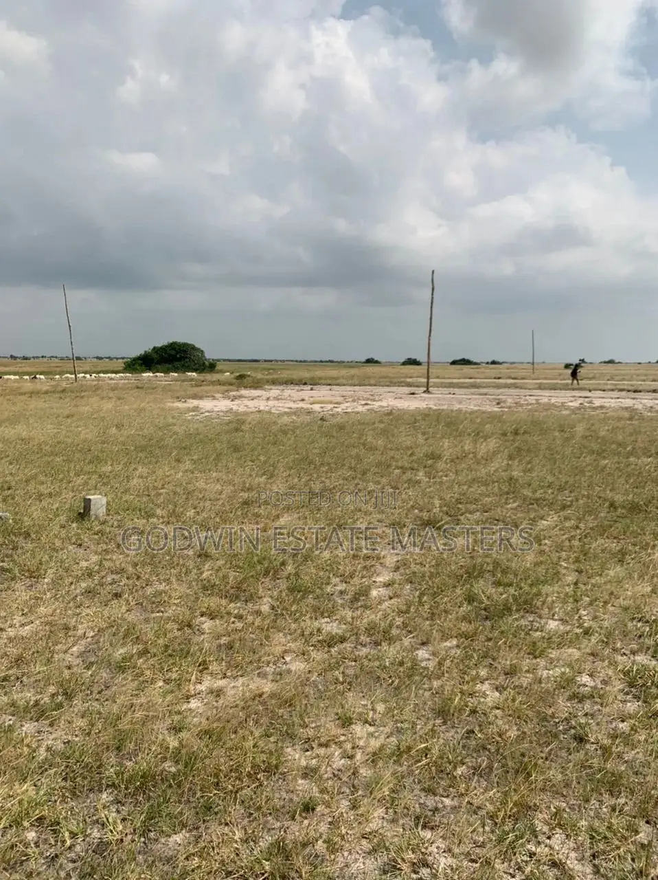 Get a Genuine Plot of Land at Tsopoli in Tema Metropolitan