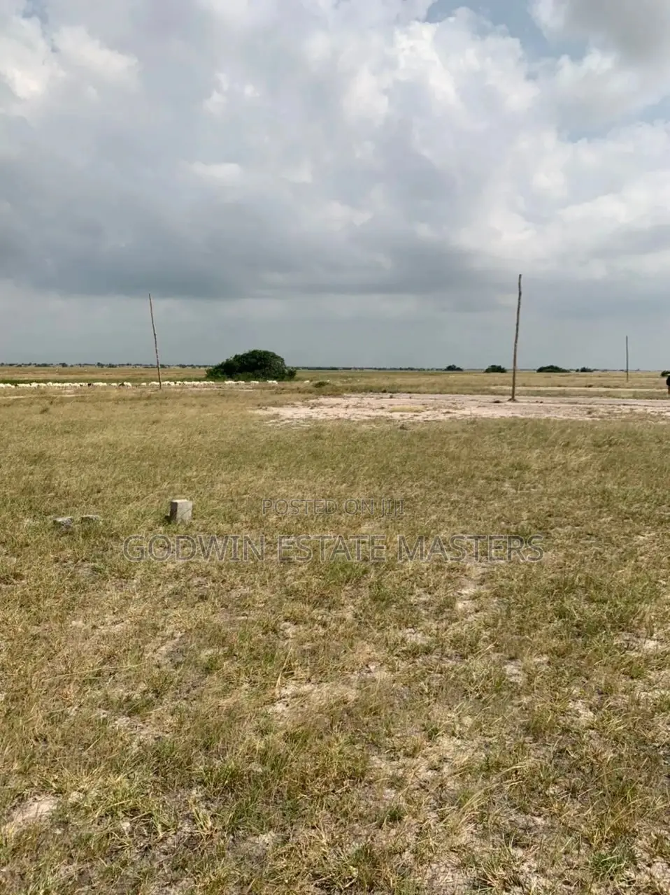 Own a Genuine Plot of Land in Tema Metropolitan