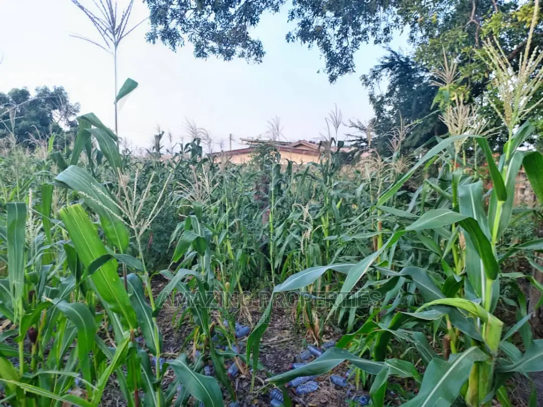 For Sale 6 Plots of Land at Spintex> Com 18 in Spintex